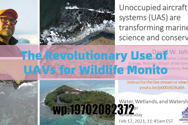 The Revolutionary Use of UAVs for Wildlife Monitoring in the US